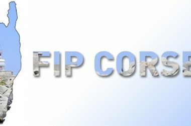 Article De Recherche – Le FIP Corse