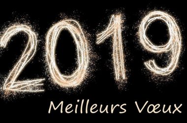 Bonne Année 2019